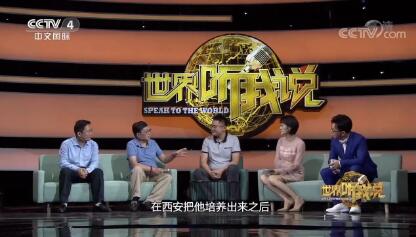 【世界听我说】KY开元棋牌教研室主任李…