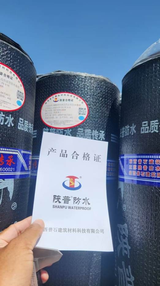 人手拿着唱片的包装 AI 生成的内容可能不正确。
