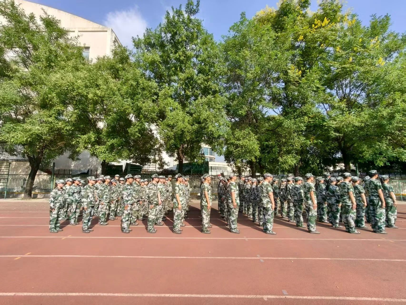 87084